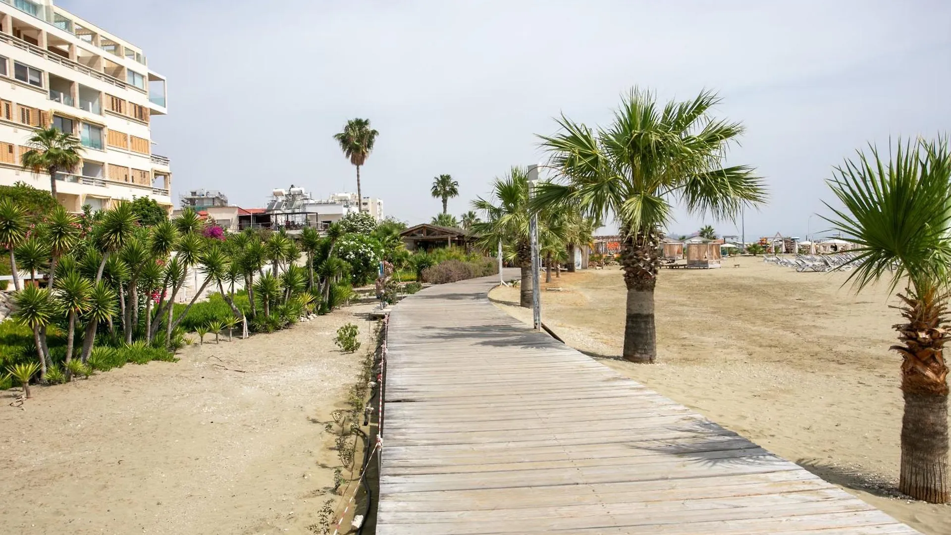 Palmove Luxurious Beachfront Apt Larnaca Kıbrıs